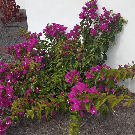 Apartment Sun Beach Relax Caleta De Fuste